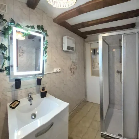 Maison Plein Centre * Brain-sur-Allonnes